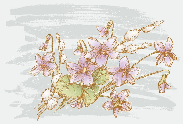 Violetas y ramas de sauce — Archivo Imágenes Vectoriales