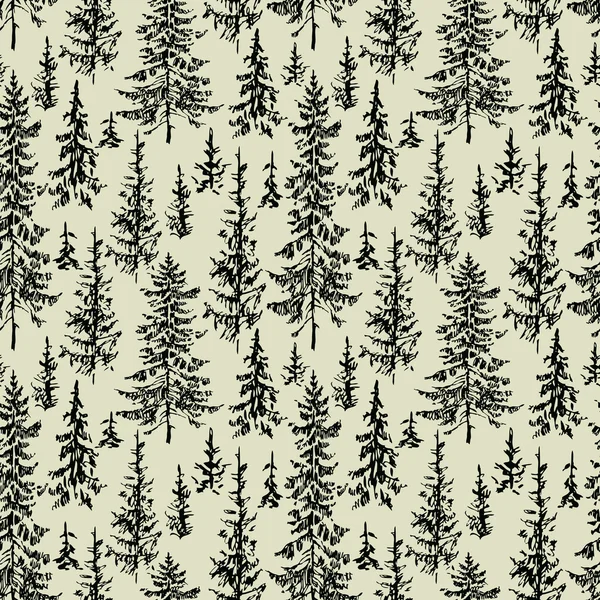 Modèle de la forêt d'épinettes — Image vectorielle