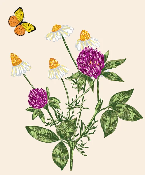 Flores silvestres y mariposa — Vector de stock