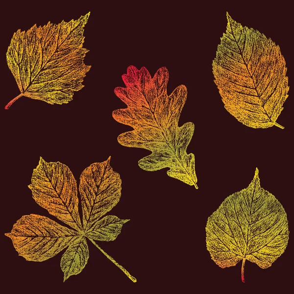 Imagen Vectorial Hojas Autun Diferentes Árboles Hoja Caduca — Archivo Imágenes Vectoriales