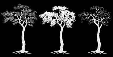 Siluetlerin serbest çizimi kökleri olan donmuş yaprak döken ağaçlar