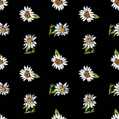 Çizimlerin kusursuz arkaplanı beyaz papatyalar