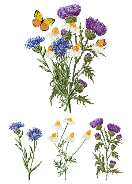 Imagem Vetorial Flores Silvestres Buquê Camomilas Desenhadas Cardo Flores Milho —  Vetores de Stock