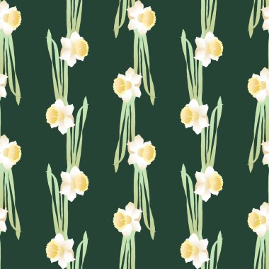 Narin bahçe nergislerinin kusursuz deseni