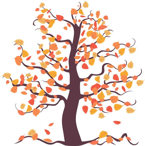 Wektorowy Wizerunek Ozdobnego Pojedynczego Drzewa Liściastego Jesiennymi Liśćmi — Wektor stockowy