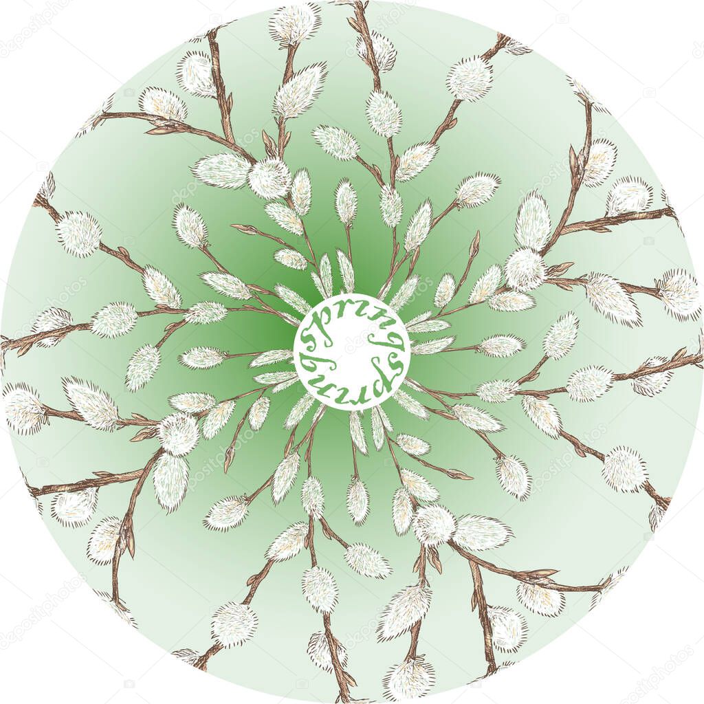 Decorative round design element from drawn spring willow branches with fluffy buds