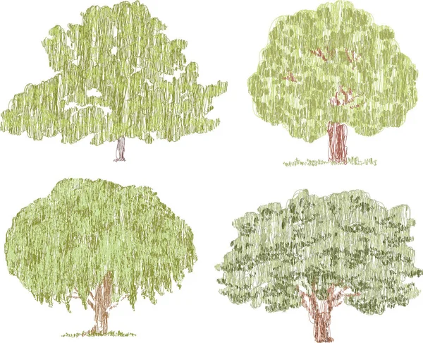 Yazın Çeşitli Yaprak Döken Ağaçların Vektör Karalama Çizimleri — Stok Vektör