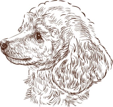 Şirin kaniş köpeğinin robot resmi.