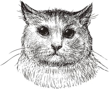 Komik evcil kedinin robot resmi.