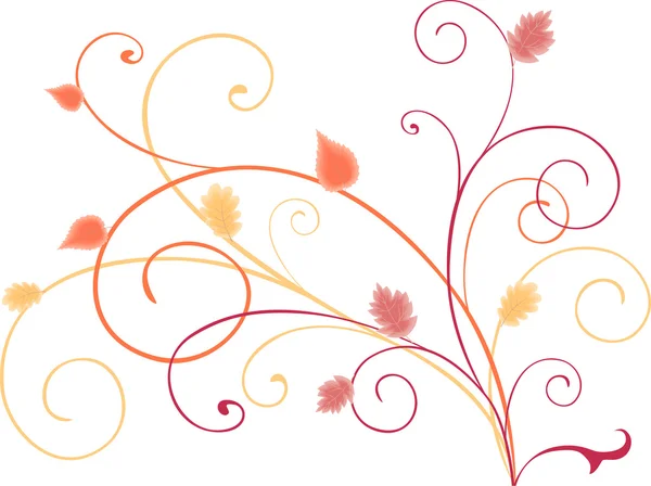 Zarcillos de otoño decorativos — Foto de stock gratis