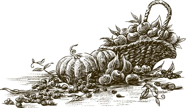 Восени урожай ескіз — стоковий вектор