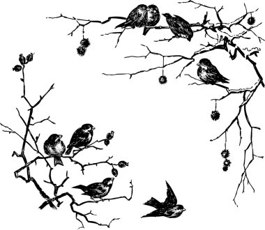 birds on the branches clipart