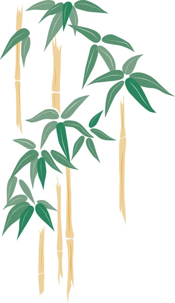 Brotes de bambú tropical — Vector de stock