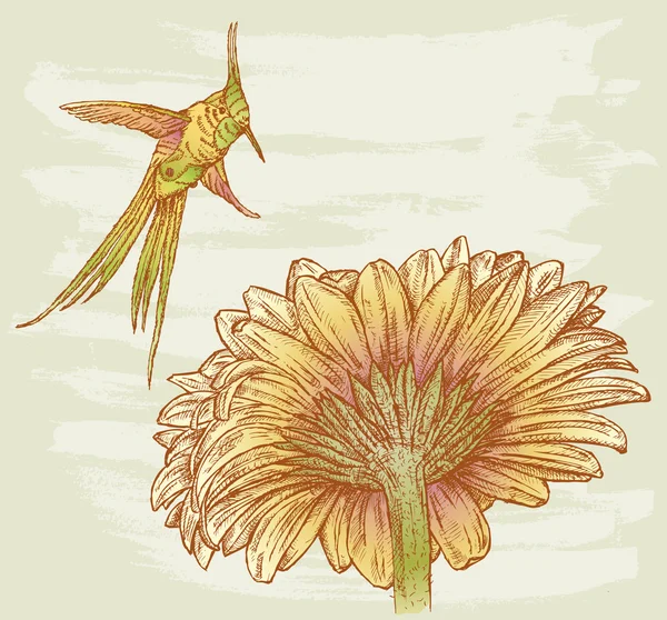 Kuş ve çiçek — Stok Vektör