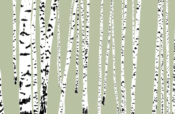 Trees in birch grove — Stock Vector