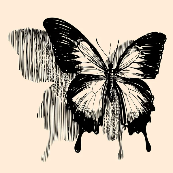 Farfalla disegnata a mano — Vettoriale Stock