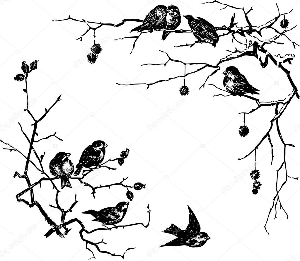 birds on the branches