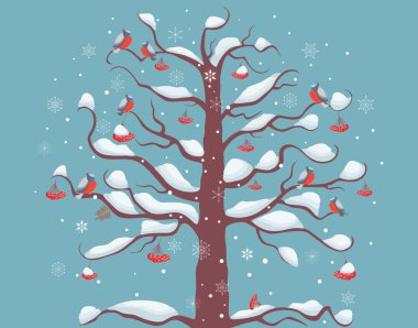 bullfinches bir ağaç üzerinde