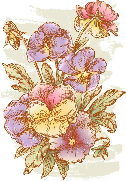 Ramo de la pansy — Vector de stock