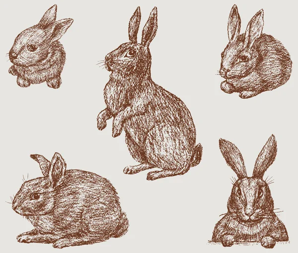 Çizilmiş tavşanlar el — Stok Vektör