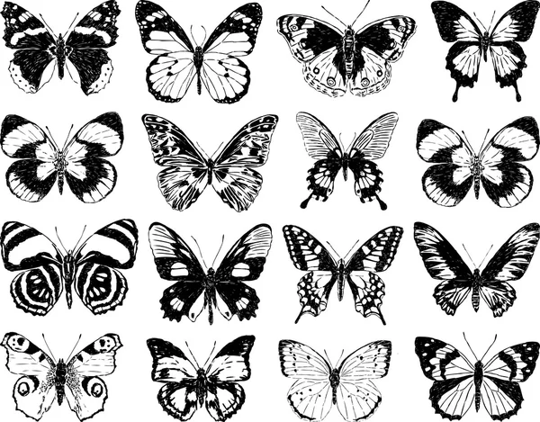 Conjunto de siluetas mariposas — Vector de stock