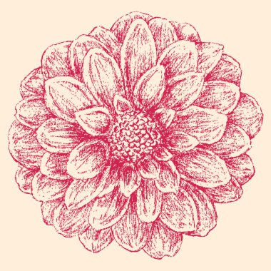 elle çizilmiş çiçek