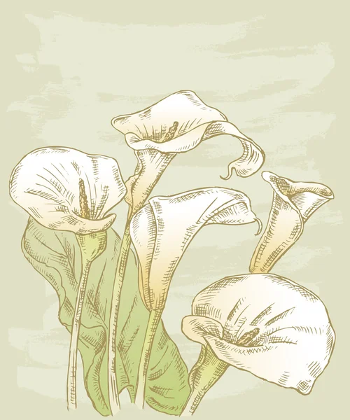 カラスの花束 — ストックベクタ