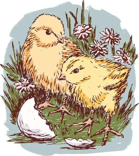 Pollos en la hierba — Vector de stock