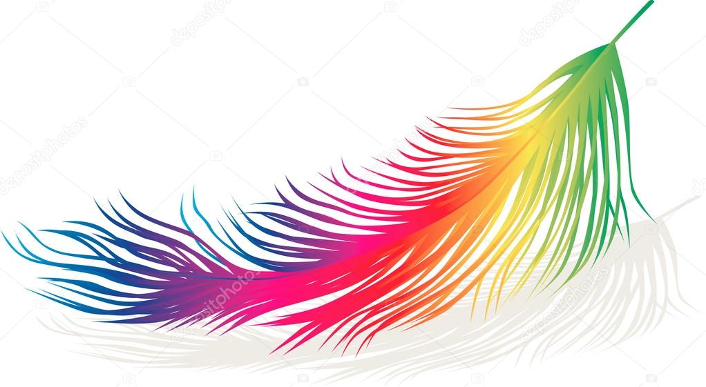 decorative colorful feather