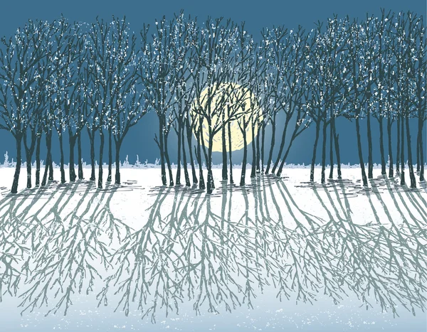 月明かりに照らされた冬の夜 — ストックベクタ