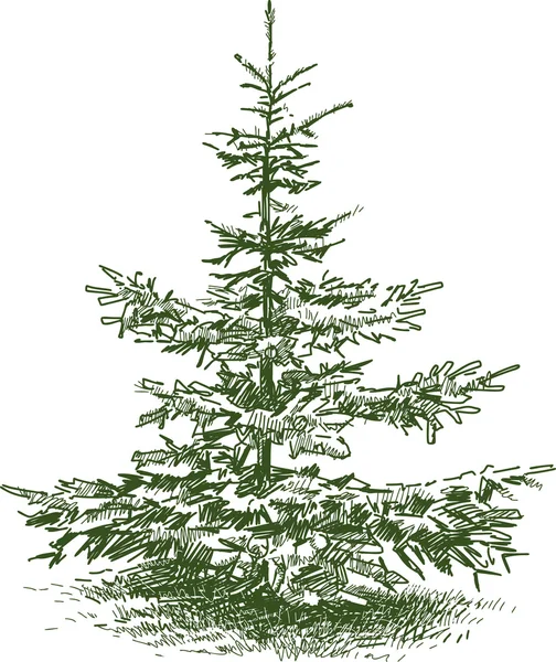 Petit sapin — Image vectorielle