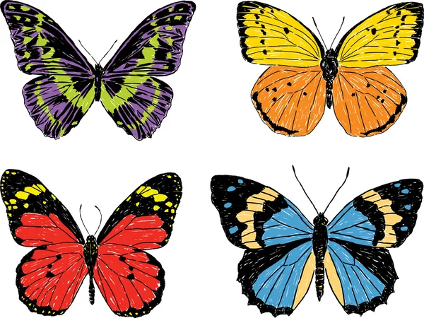装饰的热带蝴蝶 — 图库矢量图片