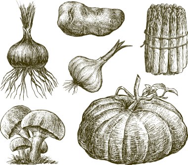 El yapımı sebzeler