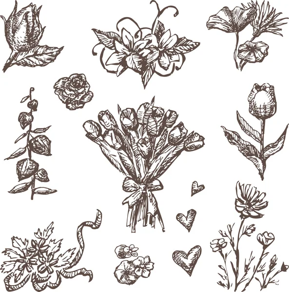 さまざまな花の要素 — ストックベクタ