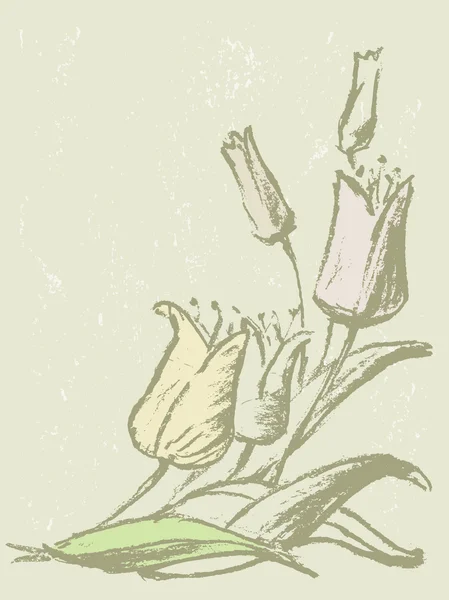 Tulipes dessinées main — Image vectorielle