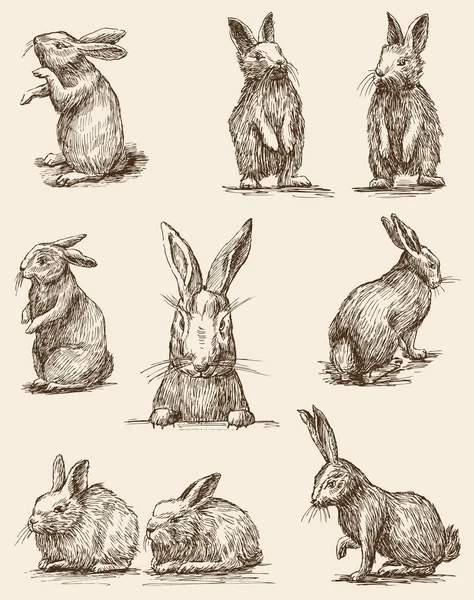 Lapins de Pâques ensemble — Image vectorielle