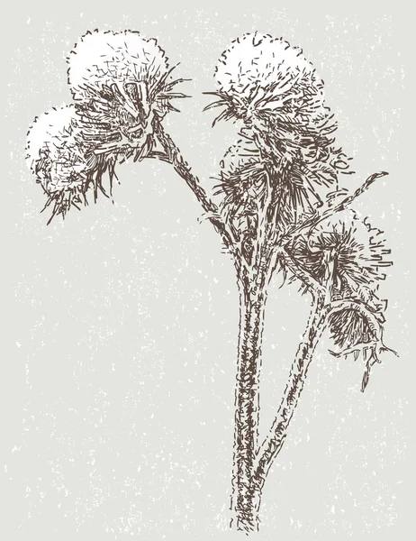 Bevroren wild flower — Stockvector