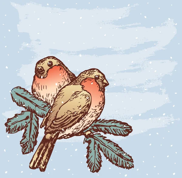 Bullfinches en diciembre — Vector de stock