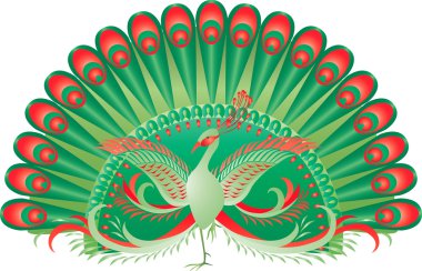 muhteşem yeşil tavus kuşu