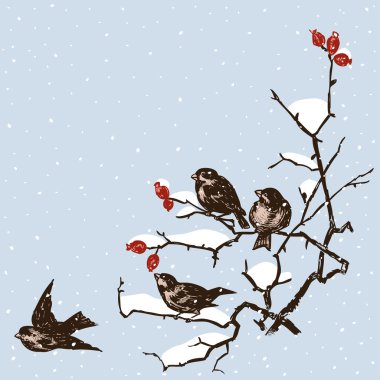 Aralık ayında serçeler