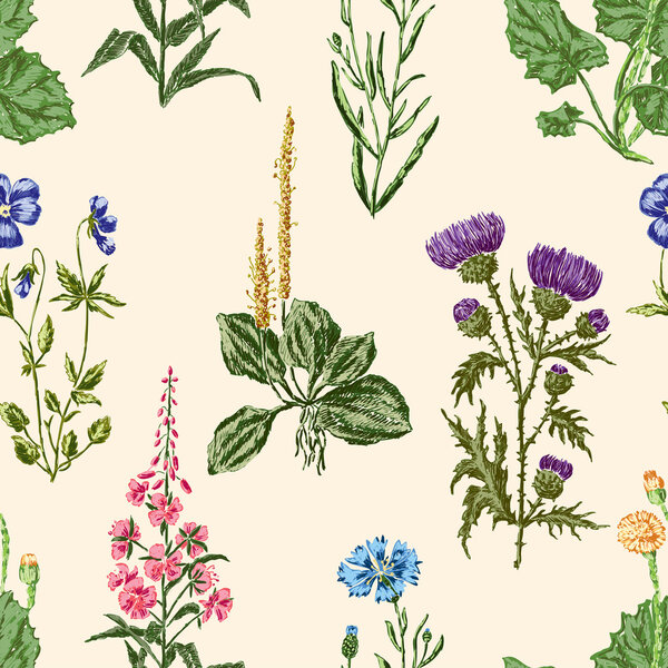 Цветы лугов
