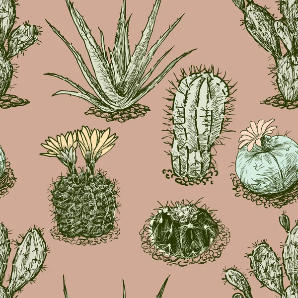 Patrón de varios cactus — Vector de stock