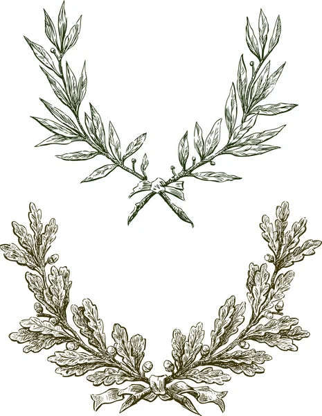 Branches de laurier et chêne — Image vectorielle