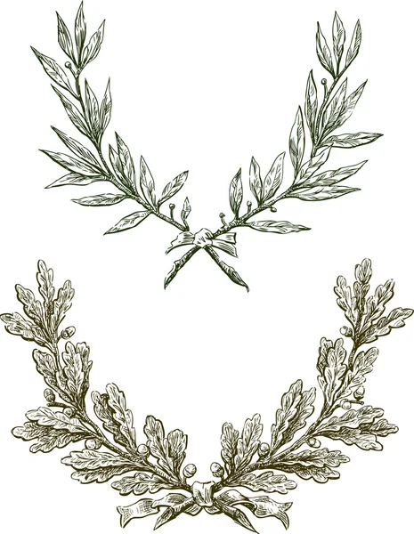 Laurel ve meşe dalları