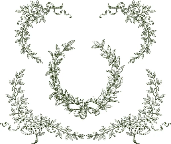 Laurel wreath and branches — Stock Vector