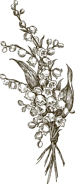 Liljor från dalen — Stock vektor