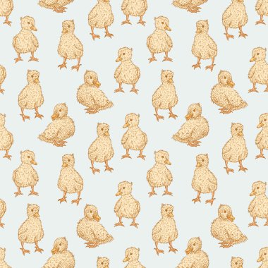 komik ördek yavrusu desen