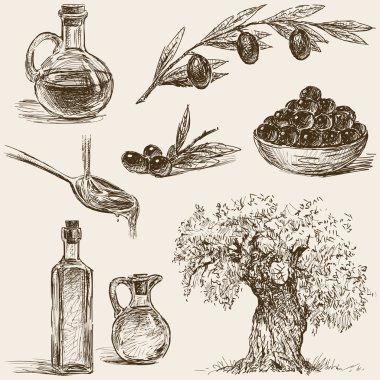 Zeytin hakkında çizimler