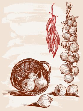soğan ve biberi
