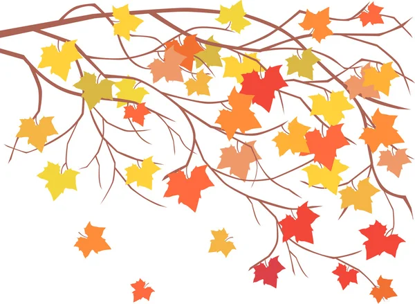 Javorovým větvích na podzim — Stockový vektor